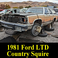Junkyard 1981 Ford LTD Country Squire wagon