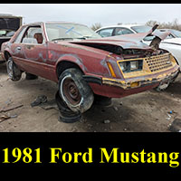 Junkyard 1981 Ford Mustang