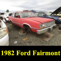 Junkyard 1982 Ford Fairmont Futura