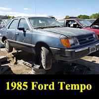 Junkyard 1985 Ford Tempo