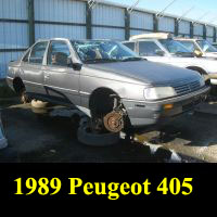 Junkyard 1989 Peugeot 405