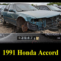 Junkyard 1991 Honda Accord
