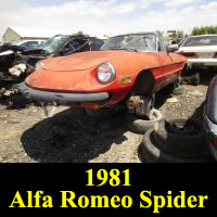 Junkyard 1981 Alfa Romeo Spider