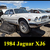 1984 Jaguar XJ6 in junkyard