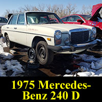 Junkyard 1975 Mercedes 240D
