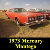 Junkyard 1973 Mercury Montego MX Brougham