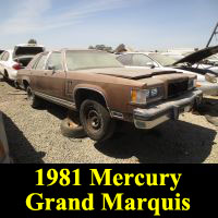 Junkyard 1981 Mercury Grand Marquis