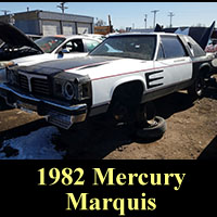 Junkyard 1982 Mercury Marquis