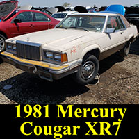 Junkyard 1981 Mercury Cougar XR7