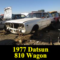 Junkyard 1977 Datsun 810 wagon
