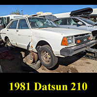 Junkyard 1981 Datsun 210