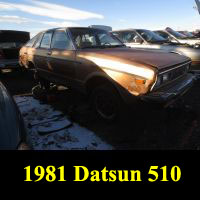 Junkyard 1981 Datsun 510