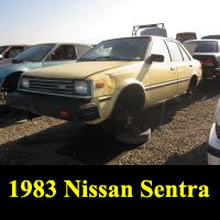 Junkyard 1983 Nissan Sentra