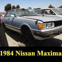 Junkyard 1984 Nissan Maxima