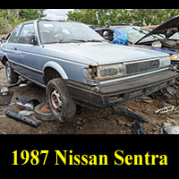 Junkyard 1987 Nissan Sentra
