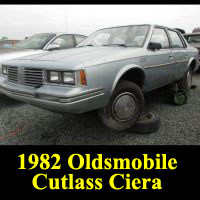 Junkyard 1982 Oldsmobile Cutlass Ciera