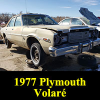 Junkyard 1977 Pymouth Volare