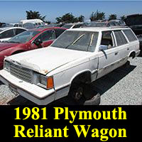 Junkyard 1981 Plymouth Reliant wagon