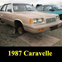 Junkyard 1987 Plymouth Caravelle