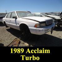 Junkyard 1989 Plymouth Acclaim