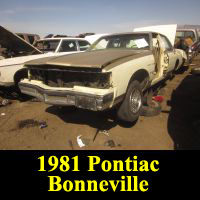 Junkyard 1981 Pontiac Bonneville Brougham