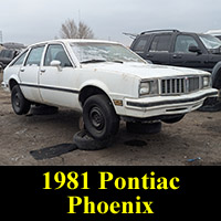 Junkyard 1981 Pontiac Phoenix