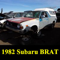 Junkyard 1982 Subaru BRAT