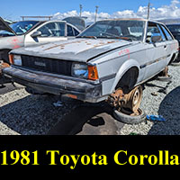 Junkyard 1981 Toyota Corolla Liftback
