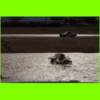LeMons-Phoenix10-1257.jpg
