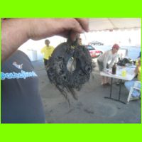 LBW09-2989.jpg