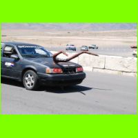 LRF09-1988.jpg