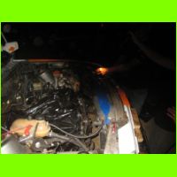 LSF09-1114.jpg