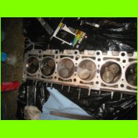 LSF09-1117.jpg