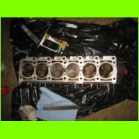 LSF09-1119.jpg