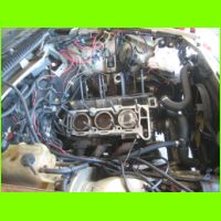 LSF09-1299.jpg