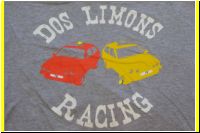 208-24_Hours_of_LeMons_Team_Shirts.JPG