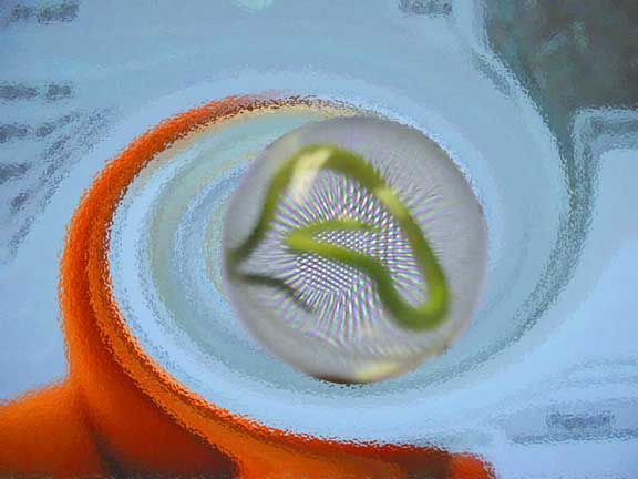 Snakeball