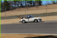 500-IMG_1774.jpg