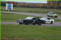388-LMIF14-IMG_5011.jpg