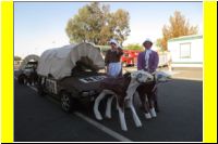 0128-Thunderhill_24_Hours_of_LeMons_2013-UG.jpg