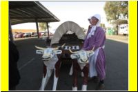 0129-Thunderhill_24_Hours_of_LeMons_2013-UG.jpg