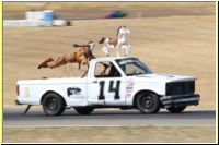 0771-Thunderhill_24_Hours_of_LeMons_2013-UG.jpg