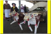 0993-Thunderhill_24_Hours_of_LeMons_2013-UG.jpg