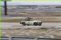 458-_MG_3429.jpg